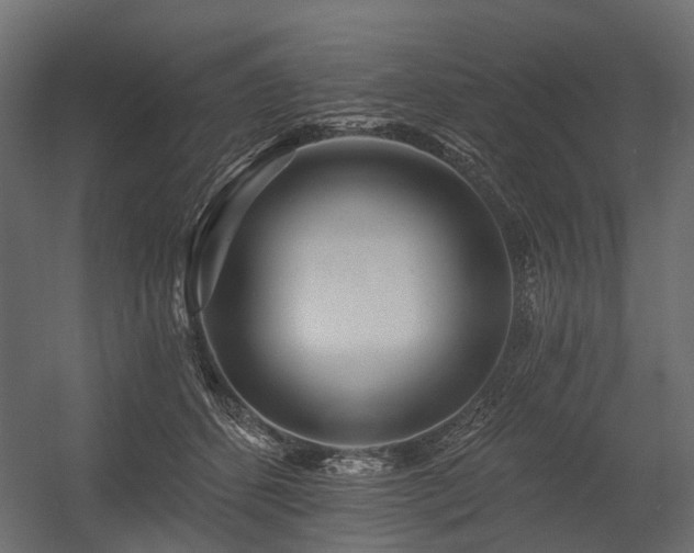 X0000054380512200507291121
