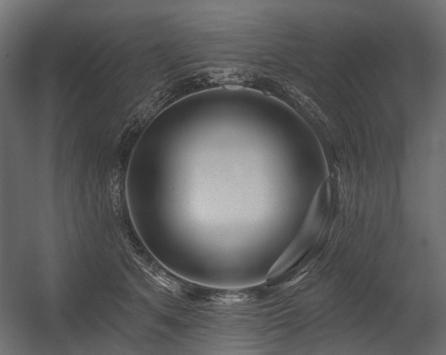 X0000054380513200507291121