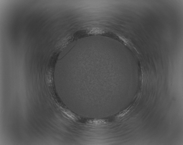 X0000054380517200507291121