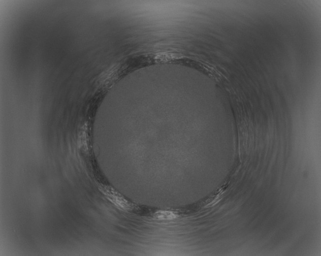 X0000054380519200507291121