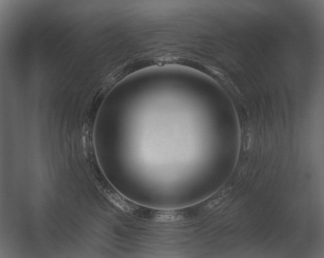 X0000054380521200507291121