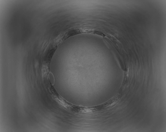 X0000054380523200507291121