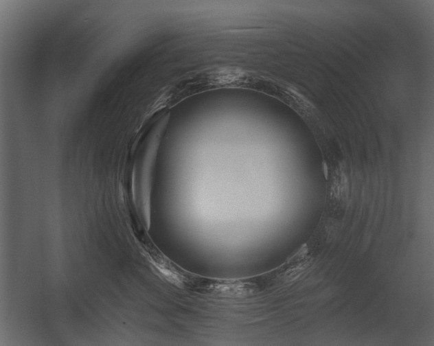 X0000054380524200507291121
