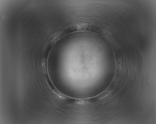 X0000054380527200507291121
