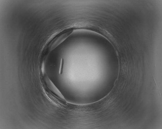 X0000054380530200507291120