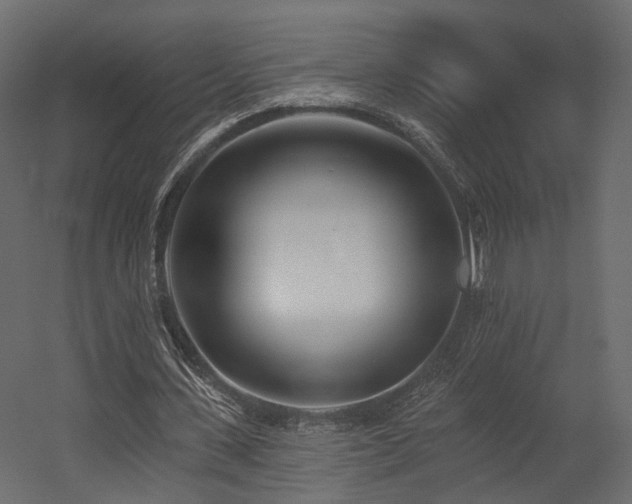 X0000054380531200507291120