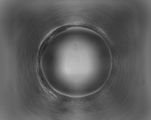 X0000054380532200507291120