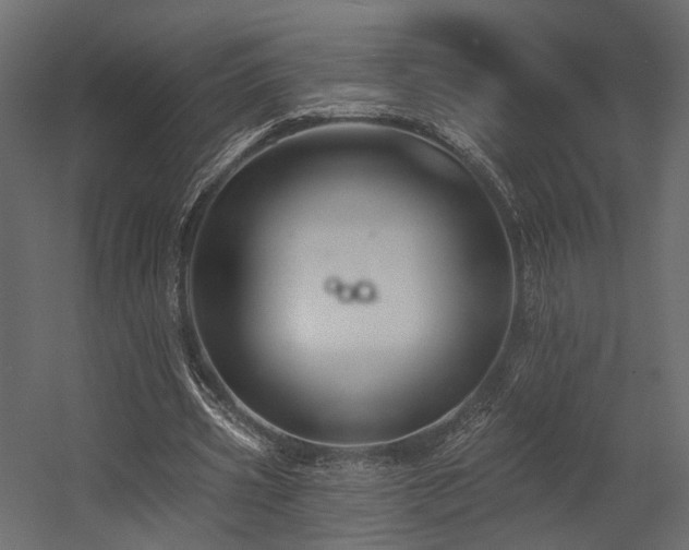 X0000054380533200507291120