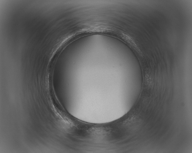 X0000054380534200507291120
