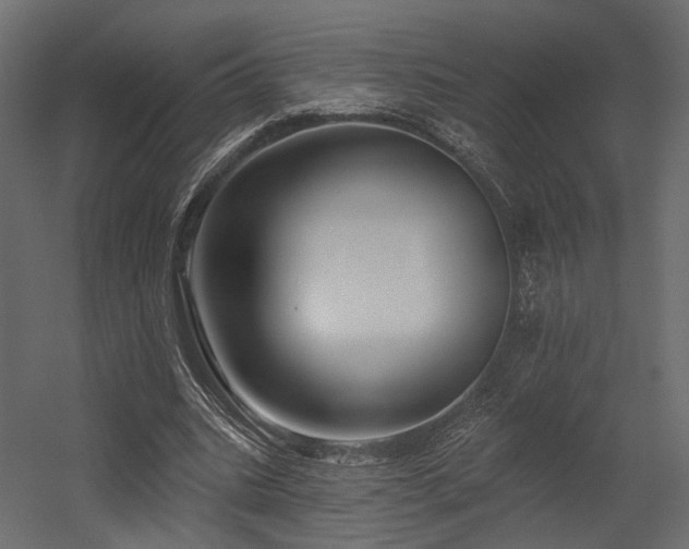 X0000054380535200507291120