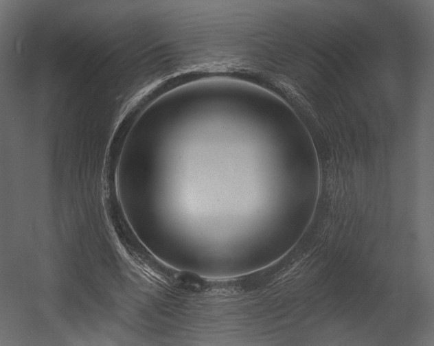X0000054380536200507291120