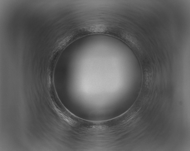 X0000054380541200507291120