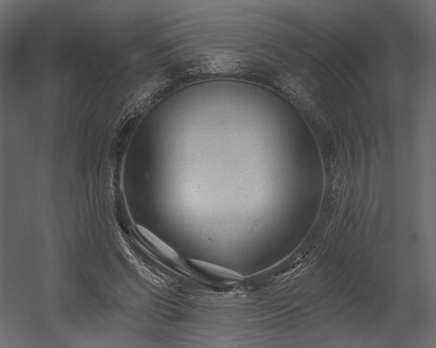 X0000054380542200507291120