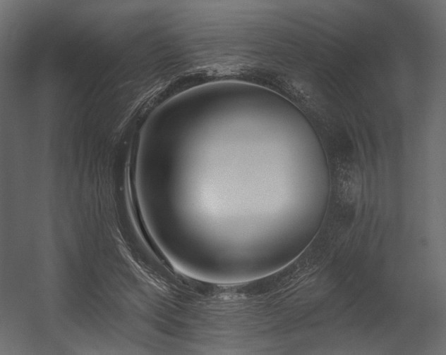 X0000054380543200507291120