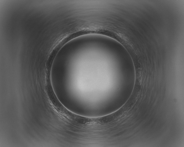 X0000054380544200507291120