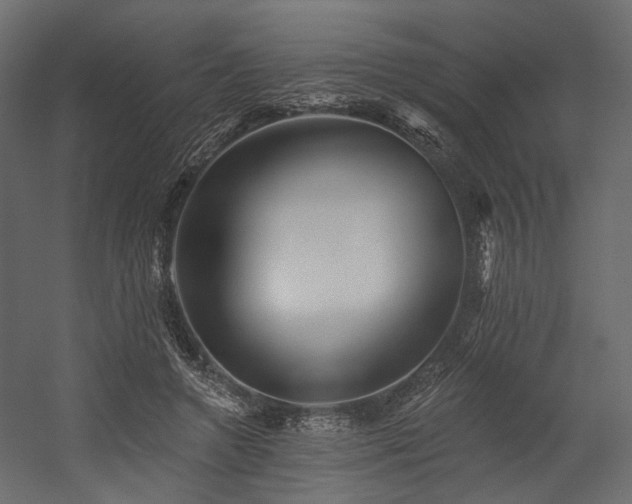 X0000054380546200507291120