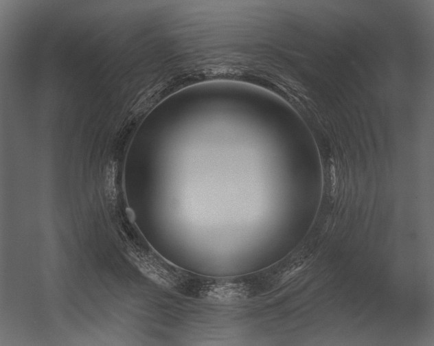 X0000054380550200507291120