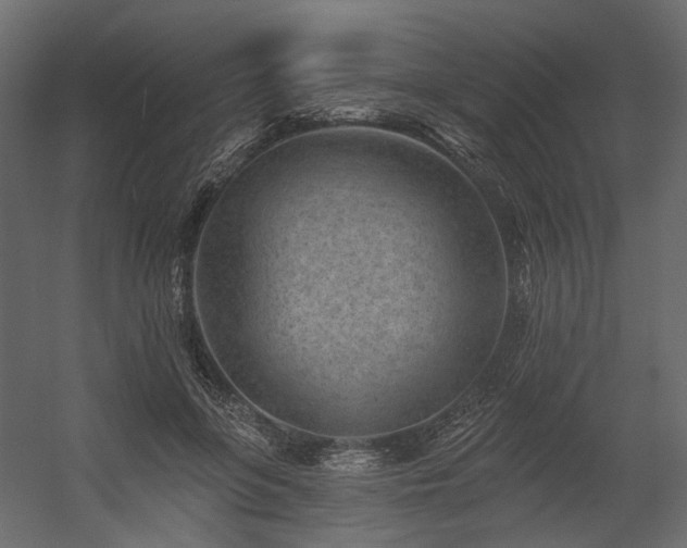 X0000054380551200507291120