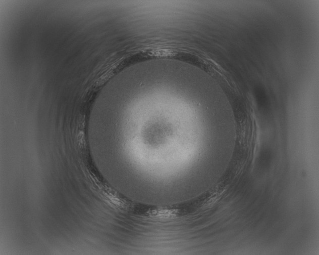 X0000054380553200507291120