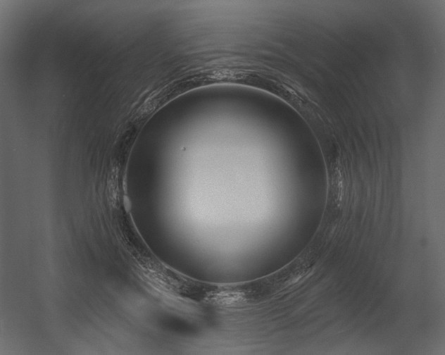 X0000054380554200507291120
