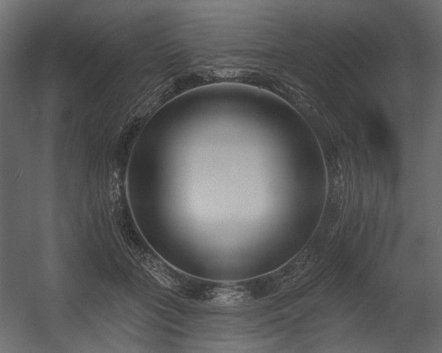 X0000054380555200507291120