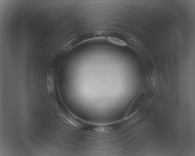 X0000054380558200507291120