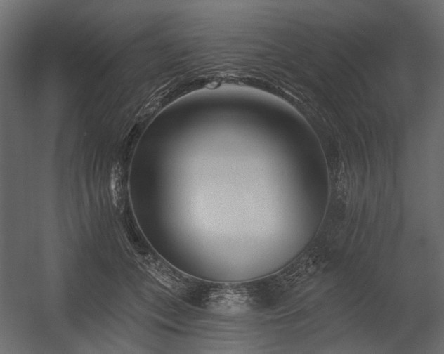 X0000054380559200507291120