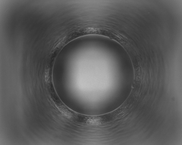 X0000054380560200507291120