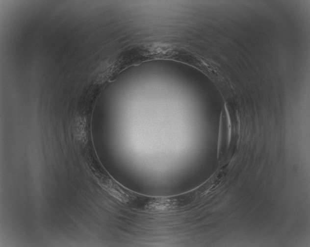 X0000054380563200507291120