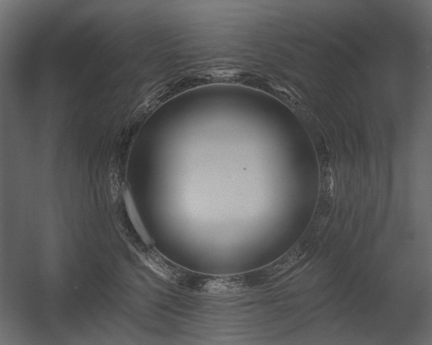 X0000054380568200507291120