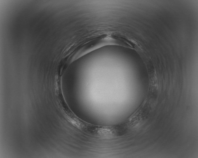 X0000054380572200507291120