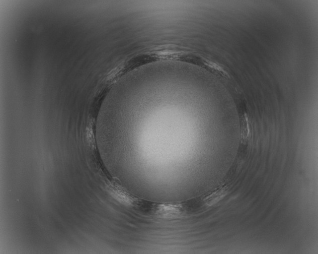 X0000054380573200507291120
