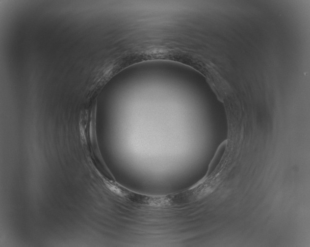 X0000054380576200507291120