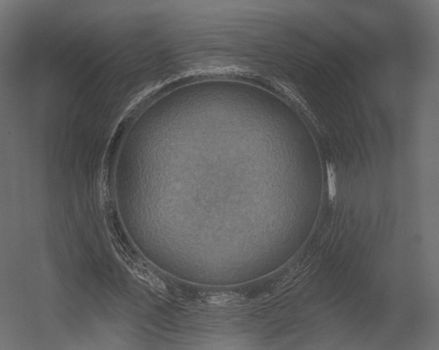 X0000054380579200507291120