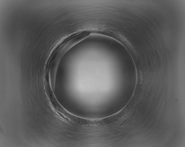 X0000054380580200507291120
