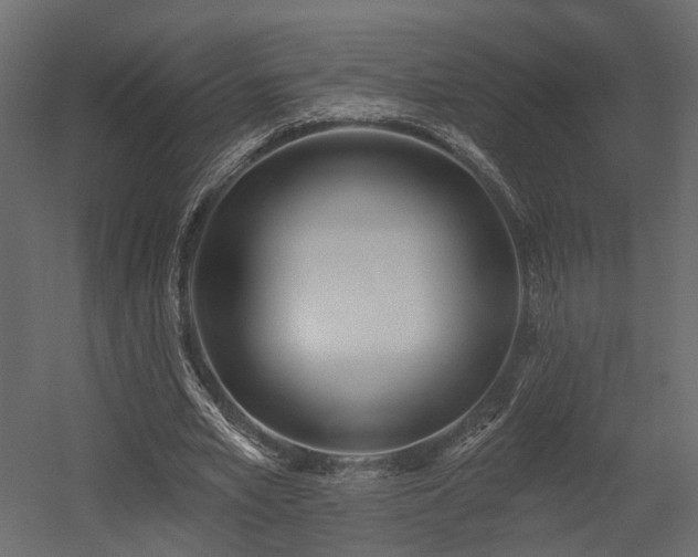 X0000054380581200507291120