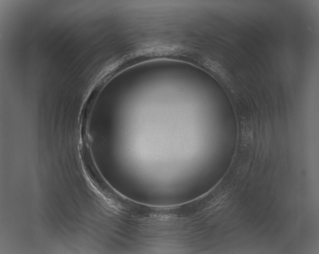 X0000054380582200507291120