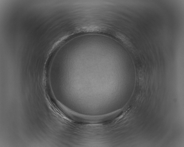 X0000054380583200507291120