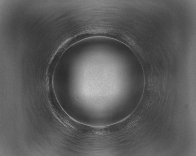 X0000054380584200507291120