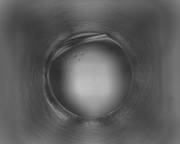 X0000054380586200507291120