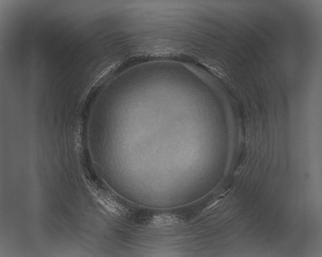 X0000054380591200507291119