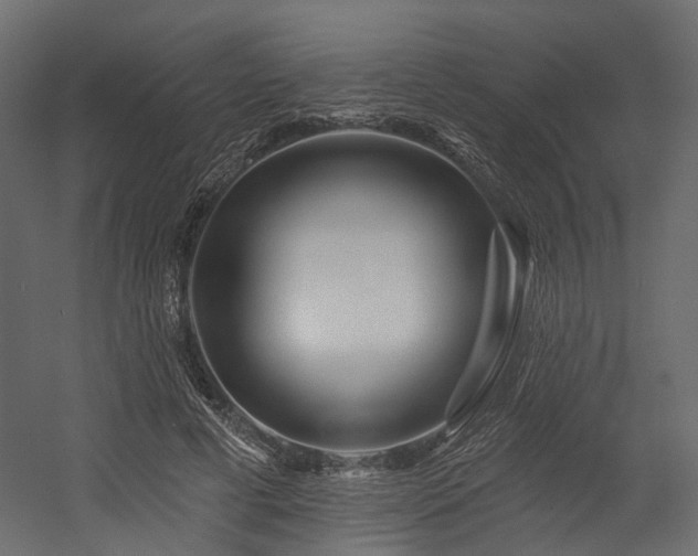 X0000054380593200507291119
