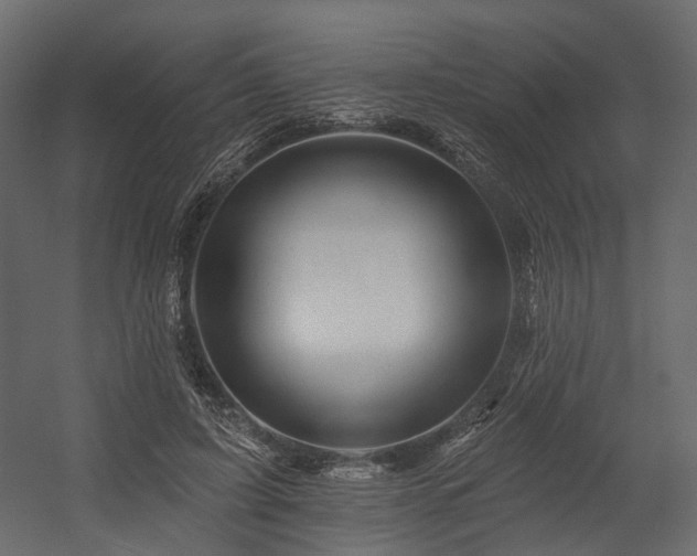 X0000054380595200507291119
