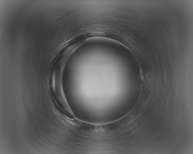 X0000054380600200507291119