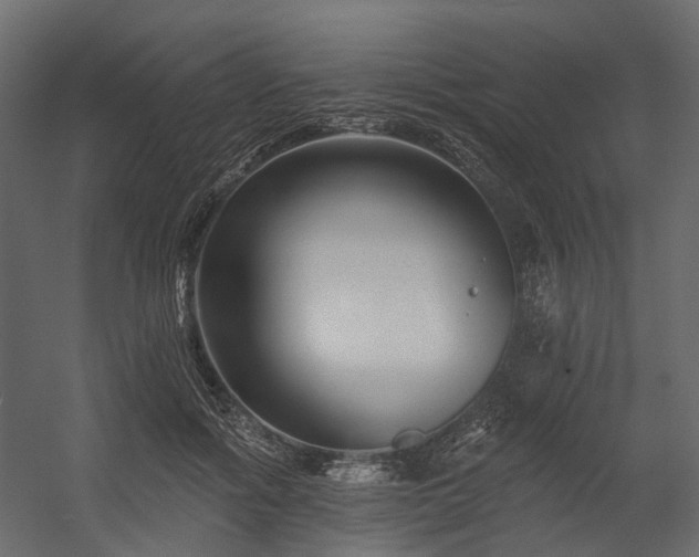 X0000054380602200507291119