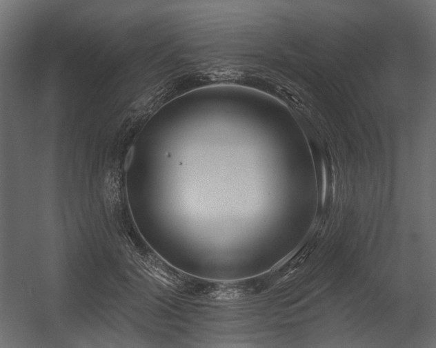 X0000054380604200507291119