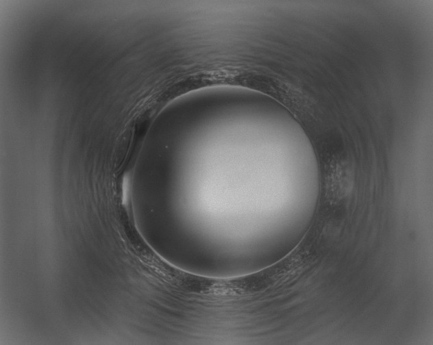 X0000054380608200507291119