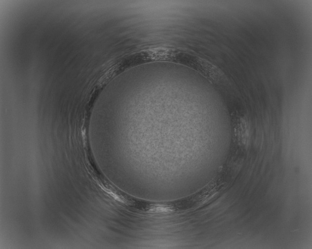 X0000054380610200507291119