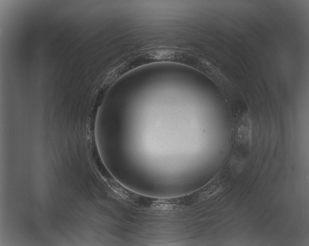 X0000054380620200507291119