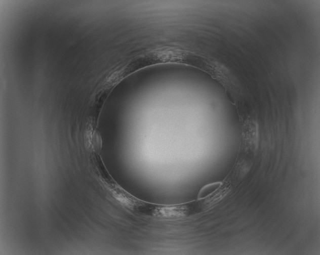 X0000054380622200507291119